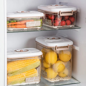 Keep Your Food Fresh with Our Vacuum Storage Box